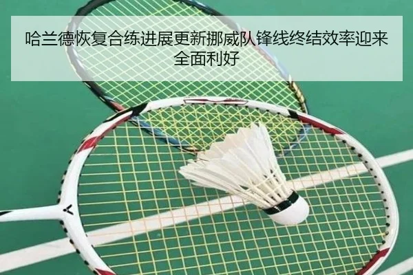 哈兰德恢复合练进展更新挪威队锋线终结效率迎来全面利好
